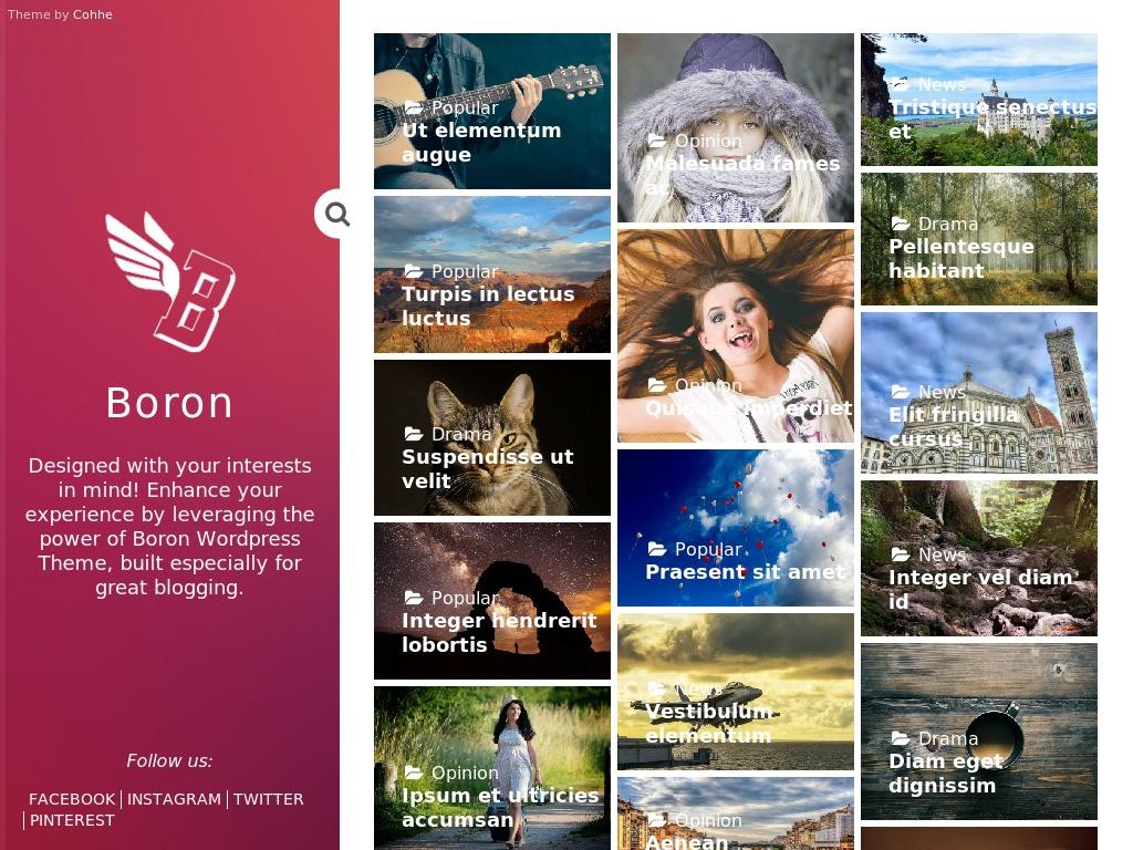 Boron - WordPress - Блог