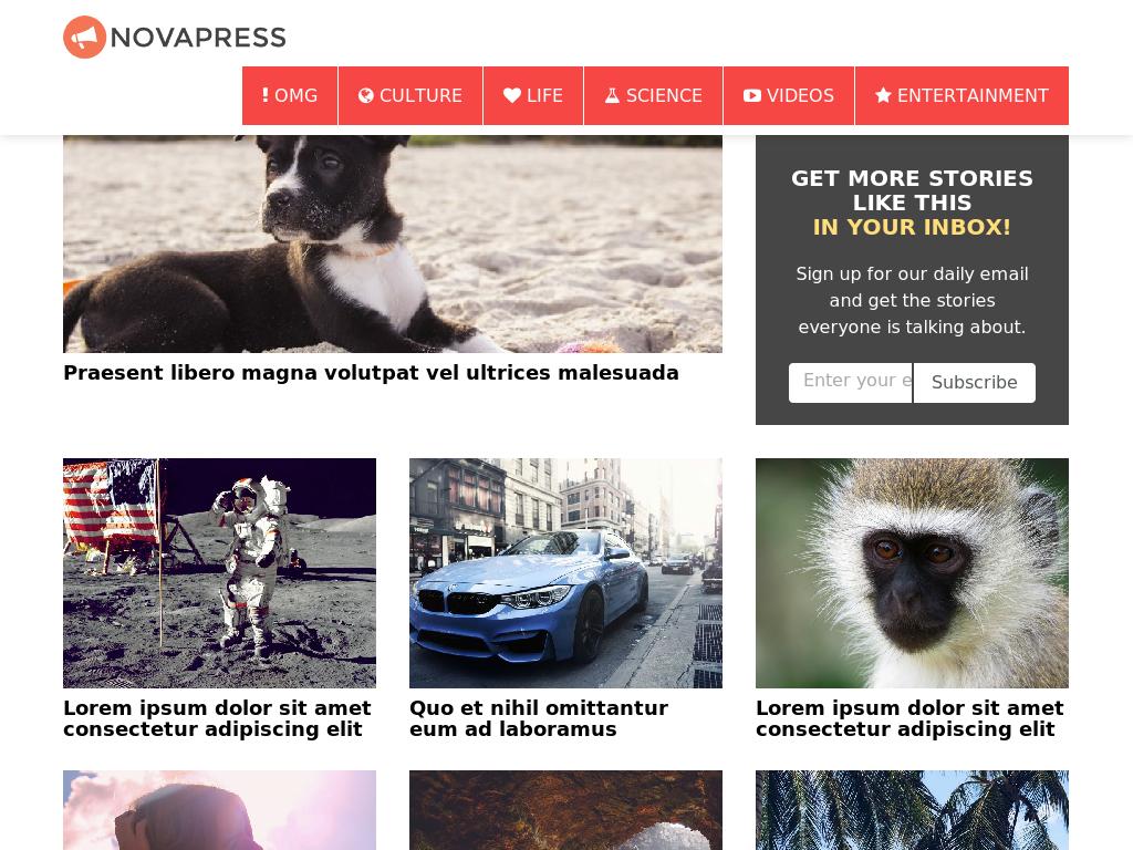 Novapress - WordPress - Блог