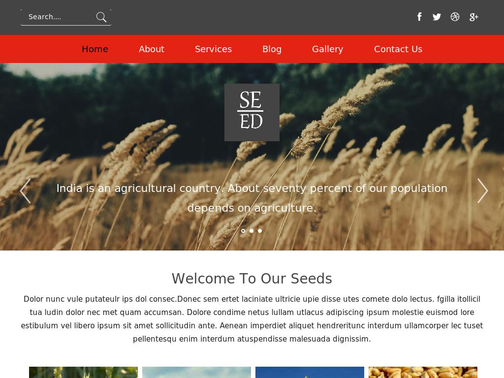 Seed - Блог