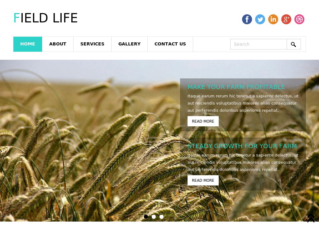 Field Life - Блог