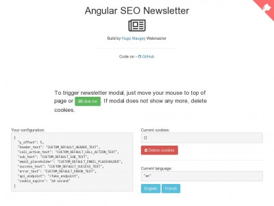 Angular Seo Newsletter