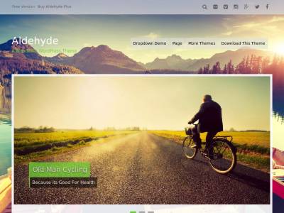 Aldehyde - WordPress