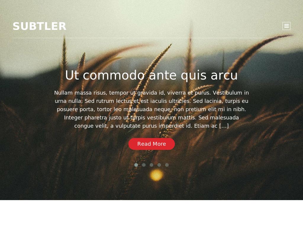 Subtler - WordPress - Блог
