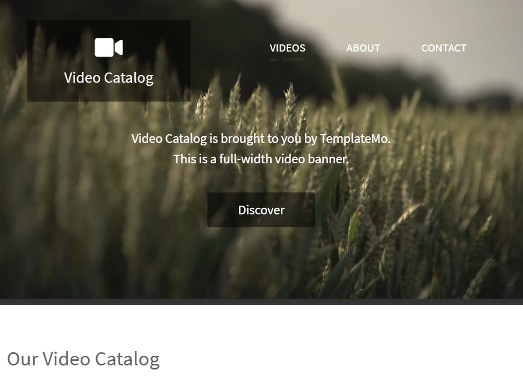 Video Catalog - Блог