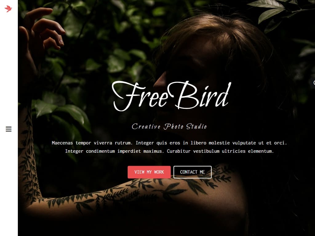 FreeBird - Портфолио