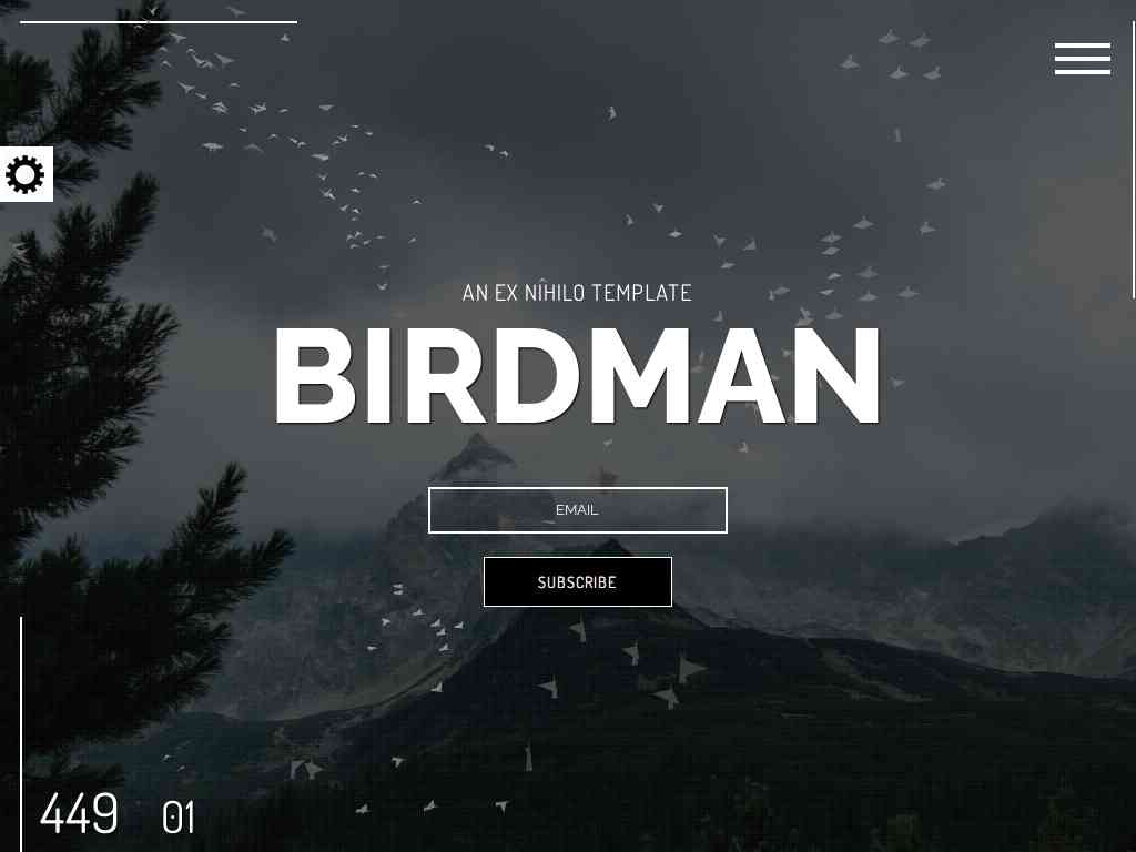 Birdman - Заглушка