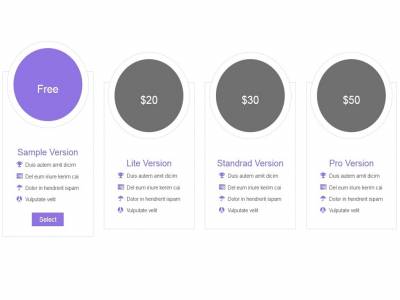 Hover effect pricing list transition
