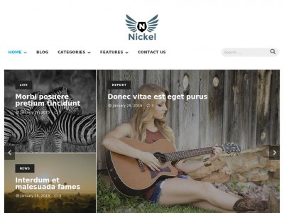 Nickel - WordPress