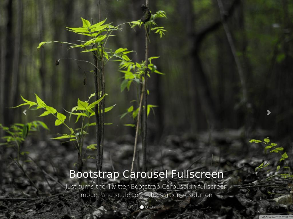 Carousel Fullscreen Bootstrap 3 - Слайдеры