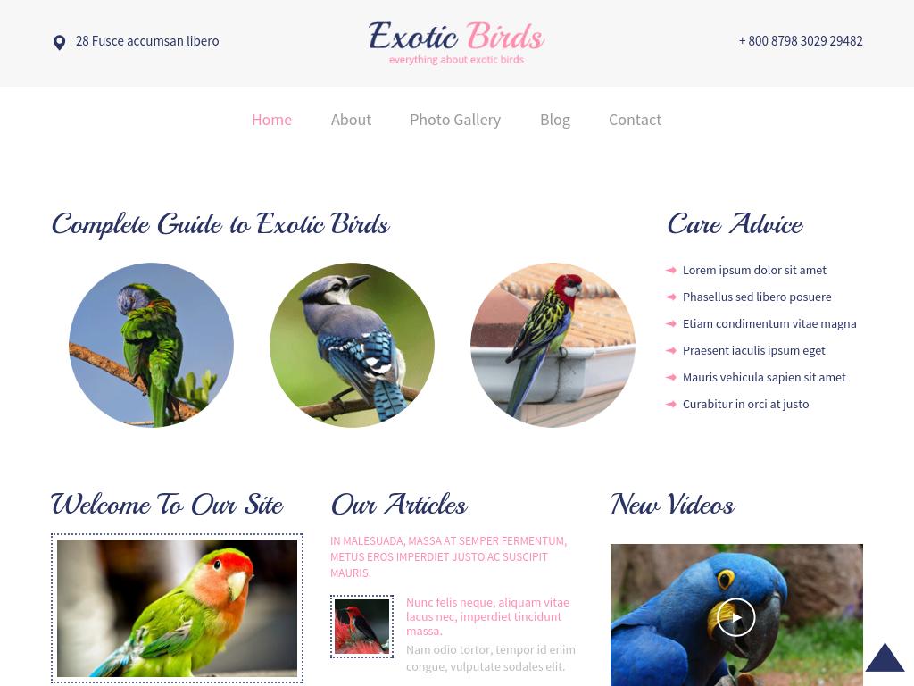 Шаблон для сайта экзотических птиц, 6 HTML страниц с мобильной вёрсткой Bootstrap 3 и плагинами: FlexSlider, Popuo Box, SwipeBox, Easing, Magnific Popup.