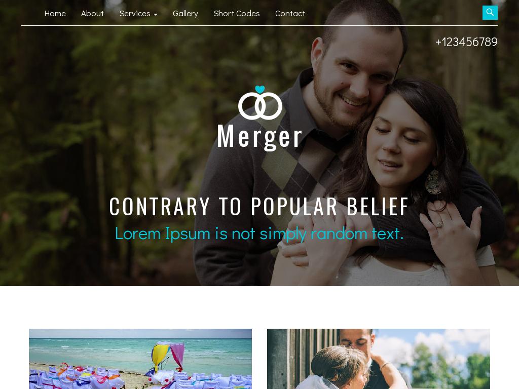 Merger - Блог