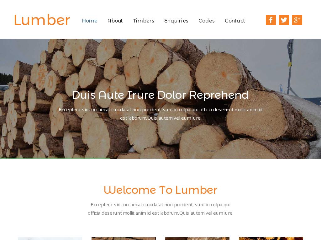 Lumber - Портфолио