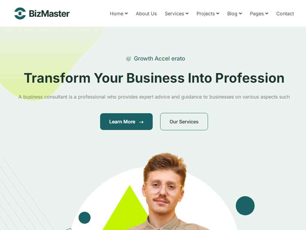 BizMaster - Портфолио