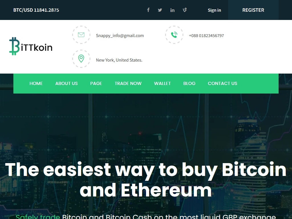 BittKoin - Портфолио