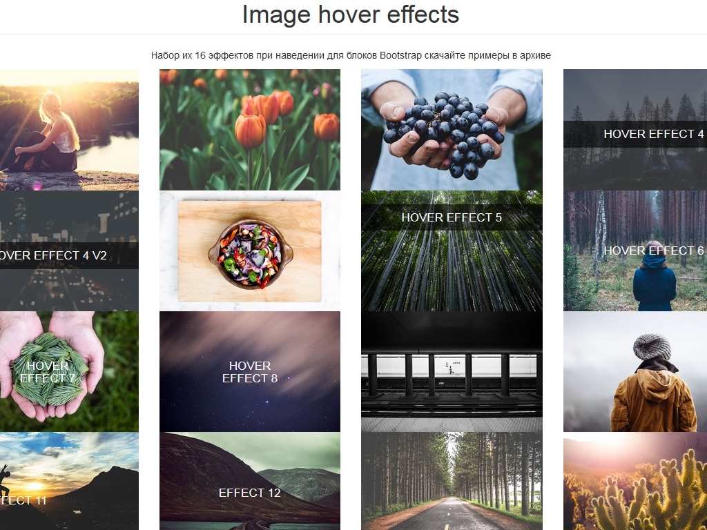 Image hover effects - Эффекты